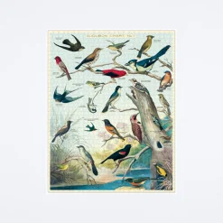 Birds Puzzle