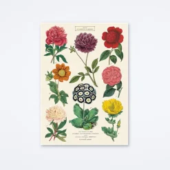 Botanica 2 Wrap