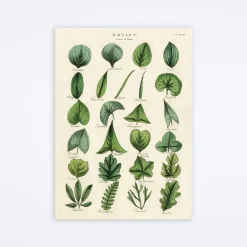 Botany Leaves Wrap