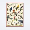 British Birds Wrap