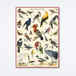 British Birds Wrap