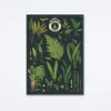 British Ferns Wrap