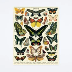 Butterflies Puzzle