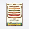 Canoes Wrap