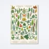 Folia Leaves Wrap