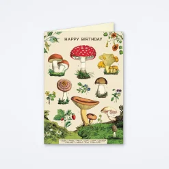 Happy Birthday Mushroom Card