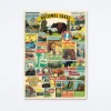 National Parks Wrap