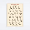 Sign Language Chart Wrap