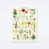 Wildflowers Wrap