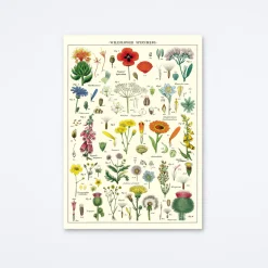 Wildflowers Wrap